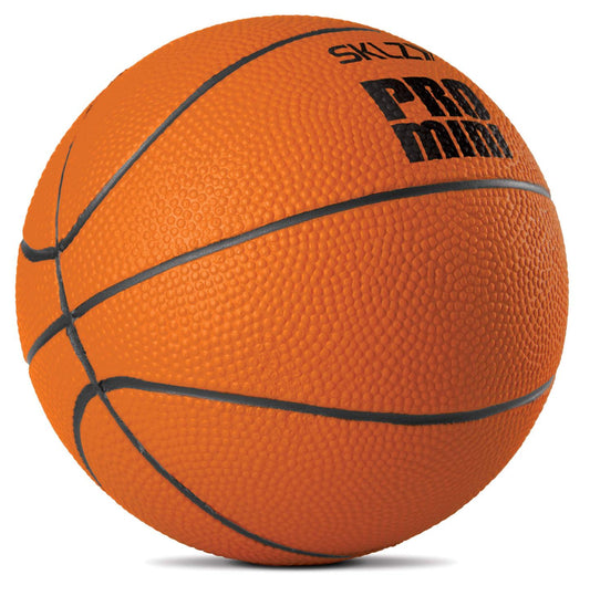 Mini Swish Foam Ball