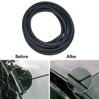 Tesla model3 windshield roof sunroof seal